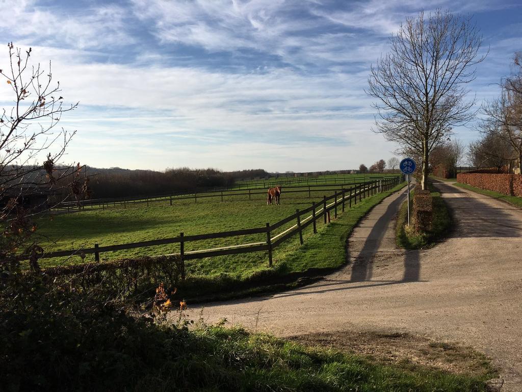 'T Reijmerhoefke Reijmerstok Exteriér fotografie